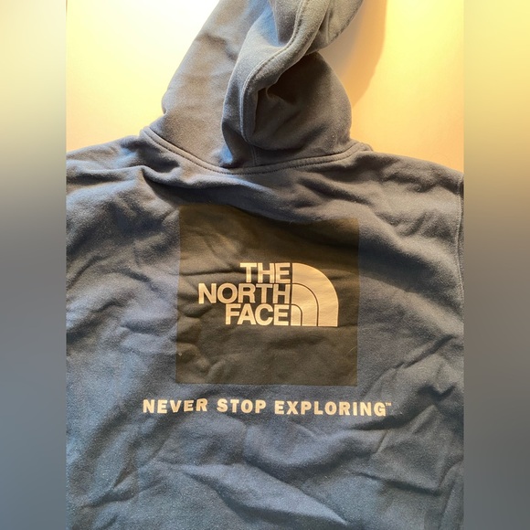 The North Face  Men’s graphic hoodie  Blue   large - Picture 8 of 8